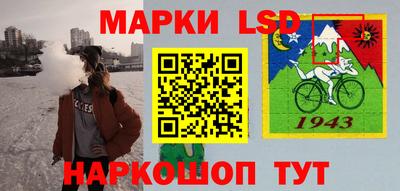 шишки Бузулук
