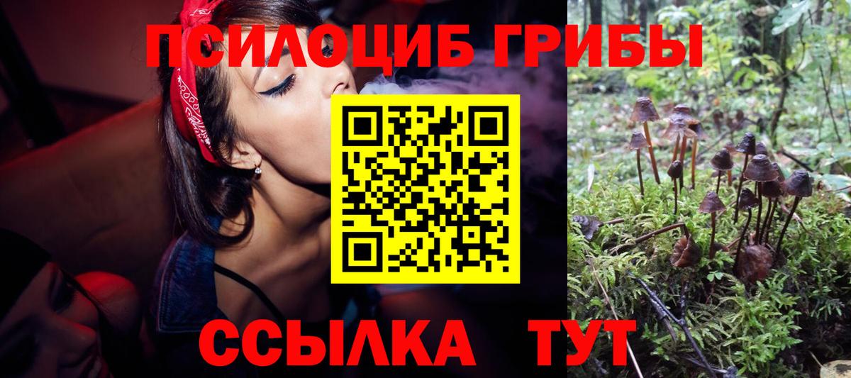 Галлюциногенные грибы мицелий  Вход с VPN  наркотики  Галлюциногенные грибы ЛСД  Пушкино 